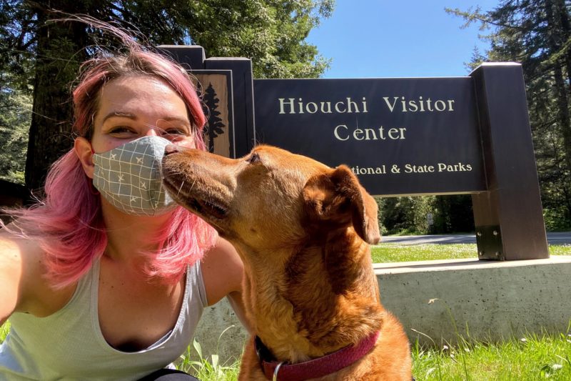 dog friendly redwood national park visitor center