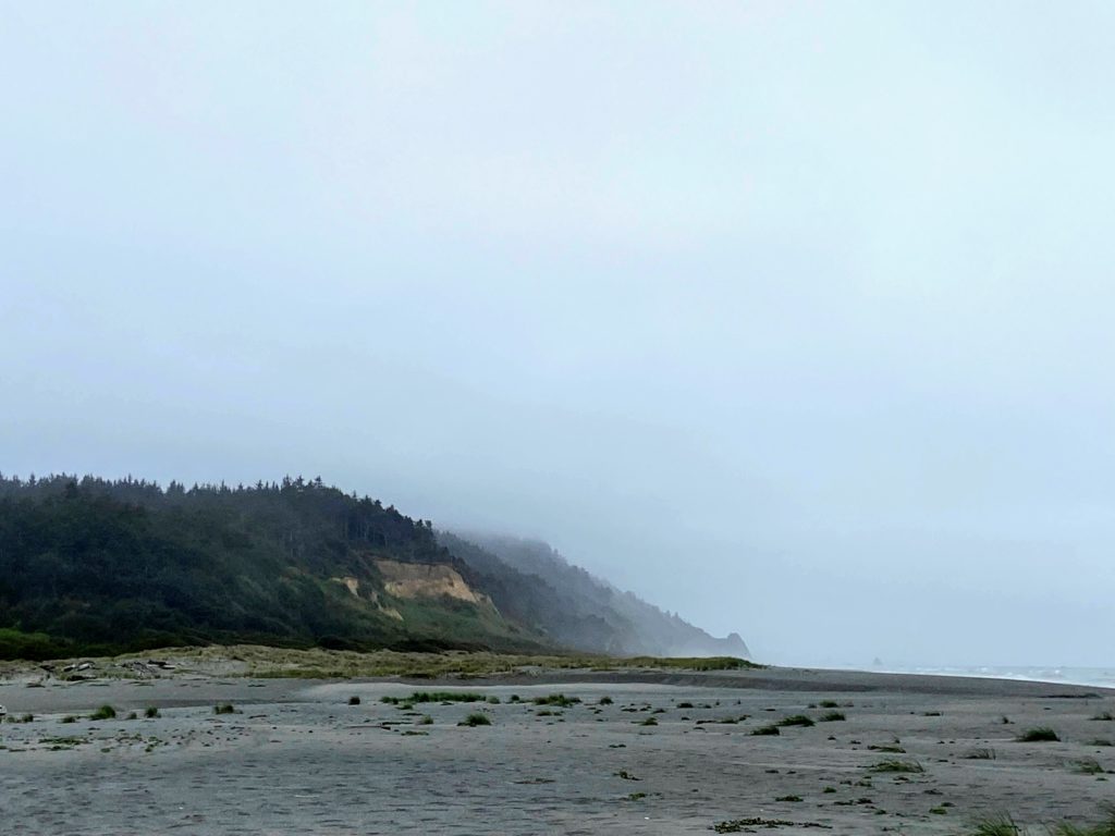 Gold Bluffs Beach near Fern Canyon allows leashed dogs at campground