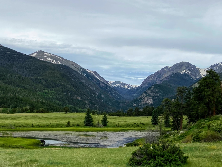 Summer in the rocky mountains. Image shows a beautiful green lush valley in the middle of snowcapped mountains. A moose drinks from a lake in the center.
