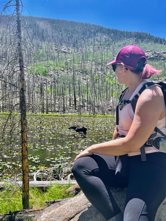 image shows a woman with pink hair, a pink hat, and pink shirt sitting on a boulder in front of a moose in a lake.