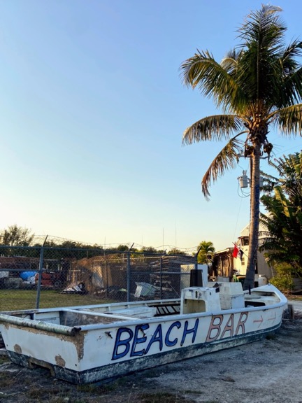 image shows a white rowboat with Beach Bar painted on it in front of a palm tree in Florida