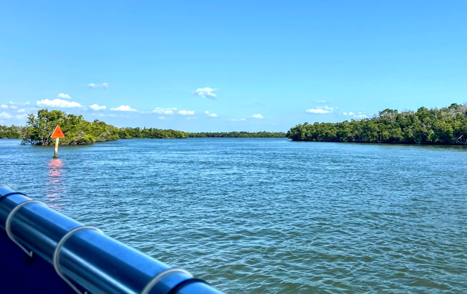 12 Best Hikes in the Everglades - Florida Hiking Trails - BEY OF