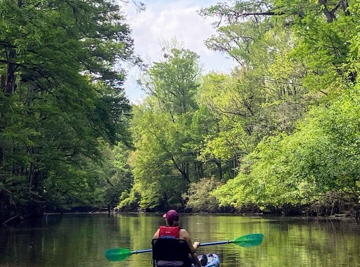 image shows Congaree National Park kayaking