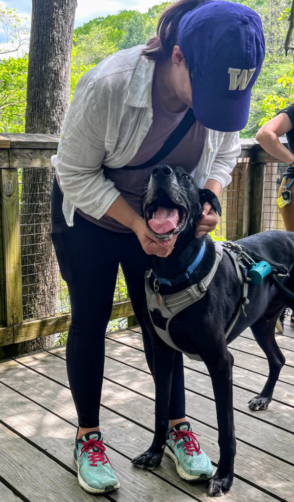 Image shows a woman petting a very large great dane at Congaree national park