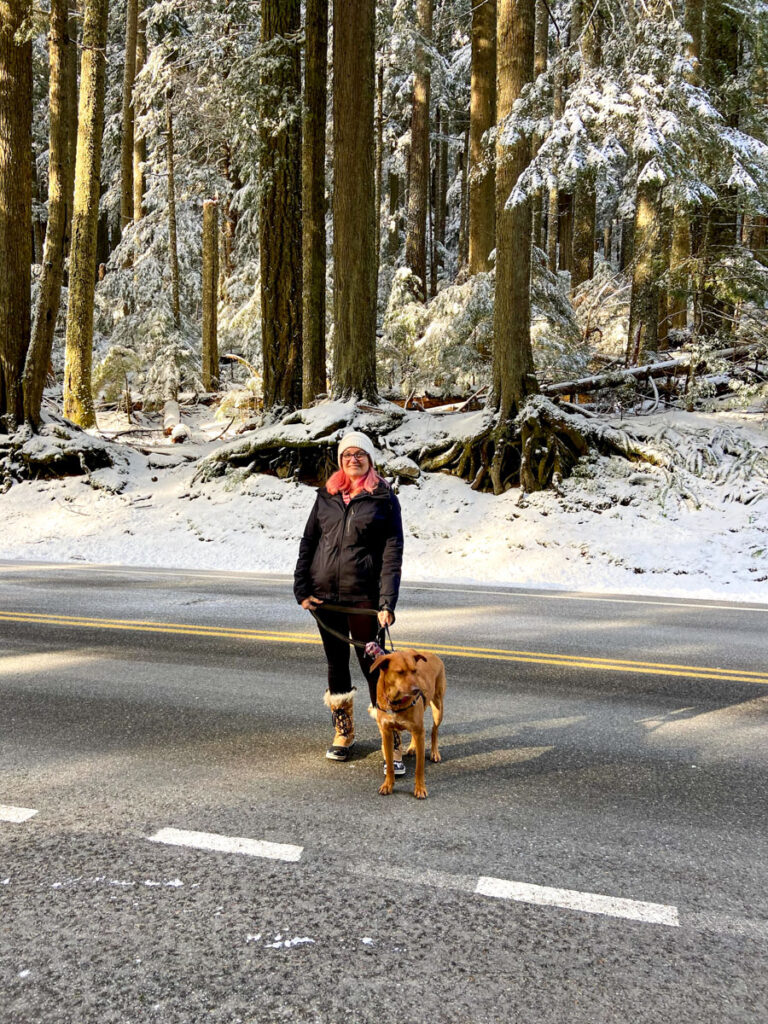 image shows a woman in a parka and boots with pink hair and a friendly dog walking on the road at Mt. Rainier National Park
