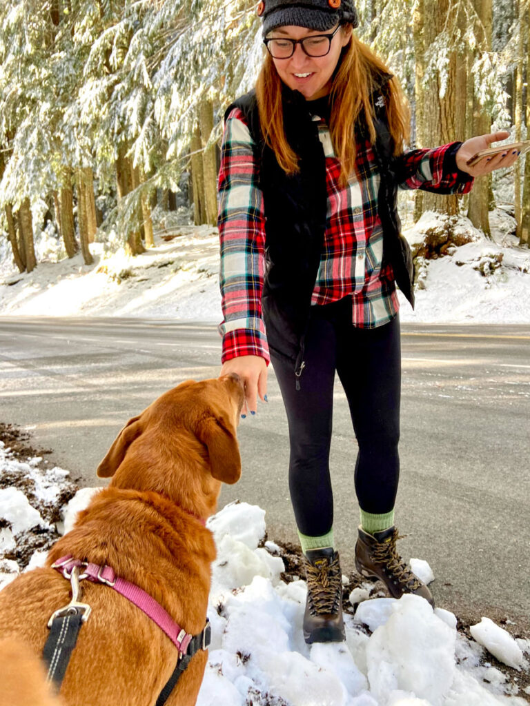 friendly dog sniffs a woman in a plaid shirt at mt. rainier national park