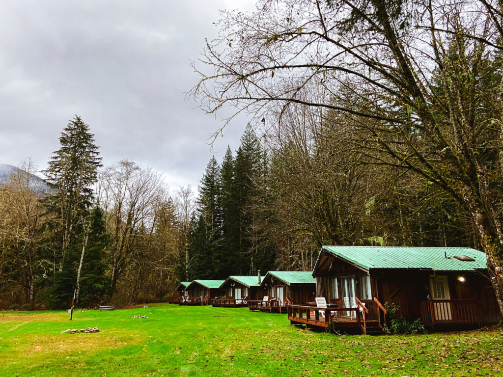 cabins at a dog friendly motel at North Cascades National Park