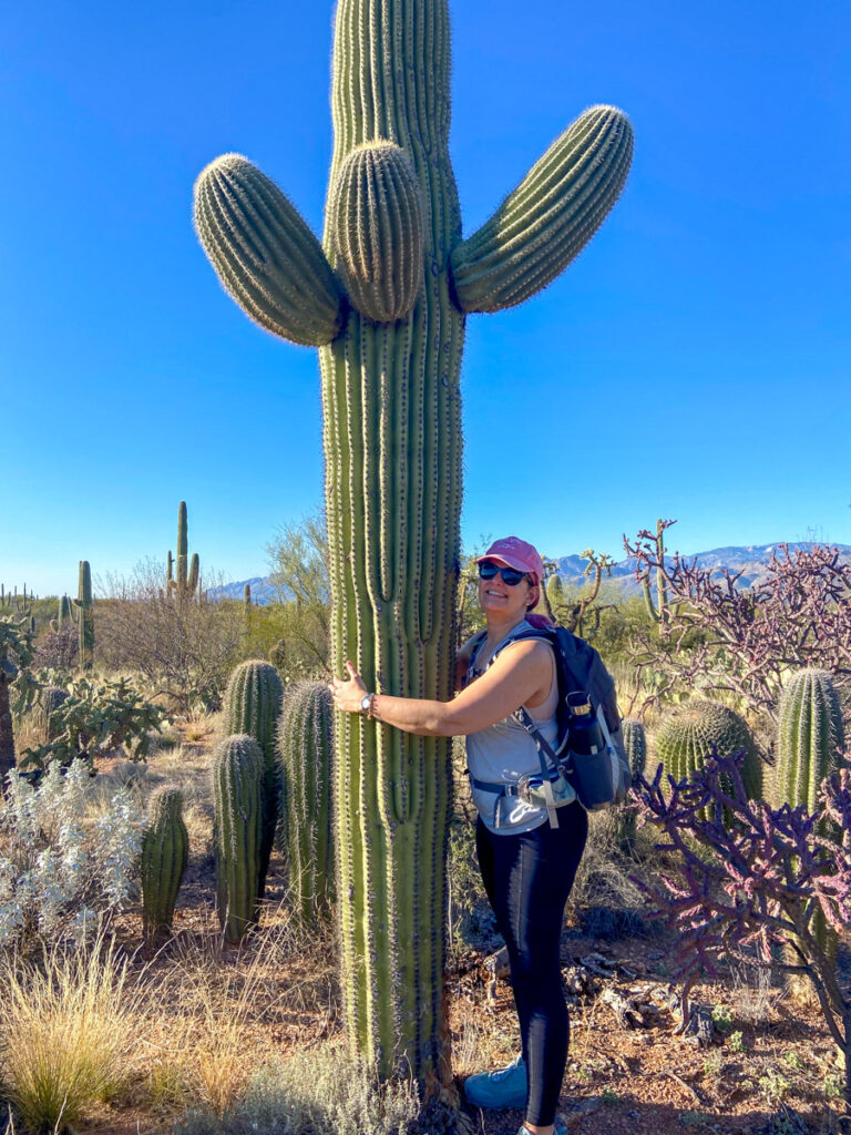 a woman with pink hair pretends to hug a cacti in tucson