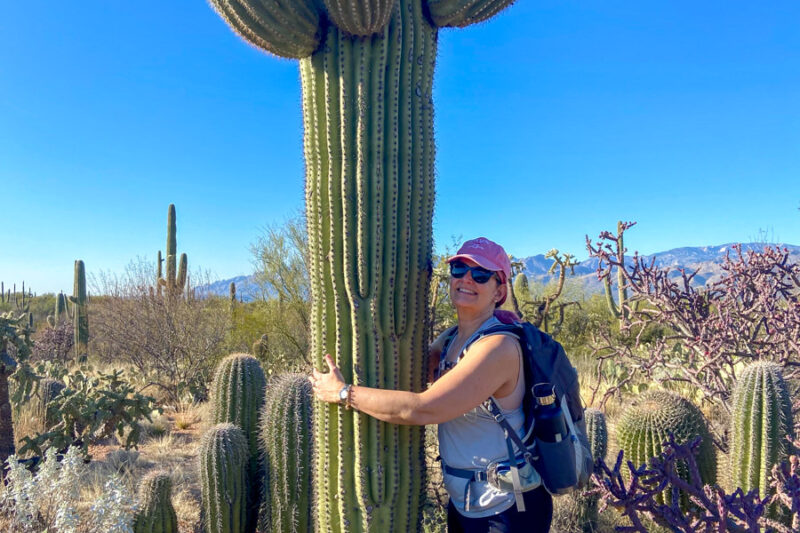 a woman with pink hair pretends to hug a cacti in tucson