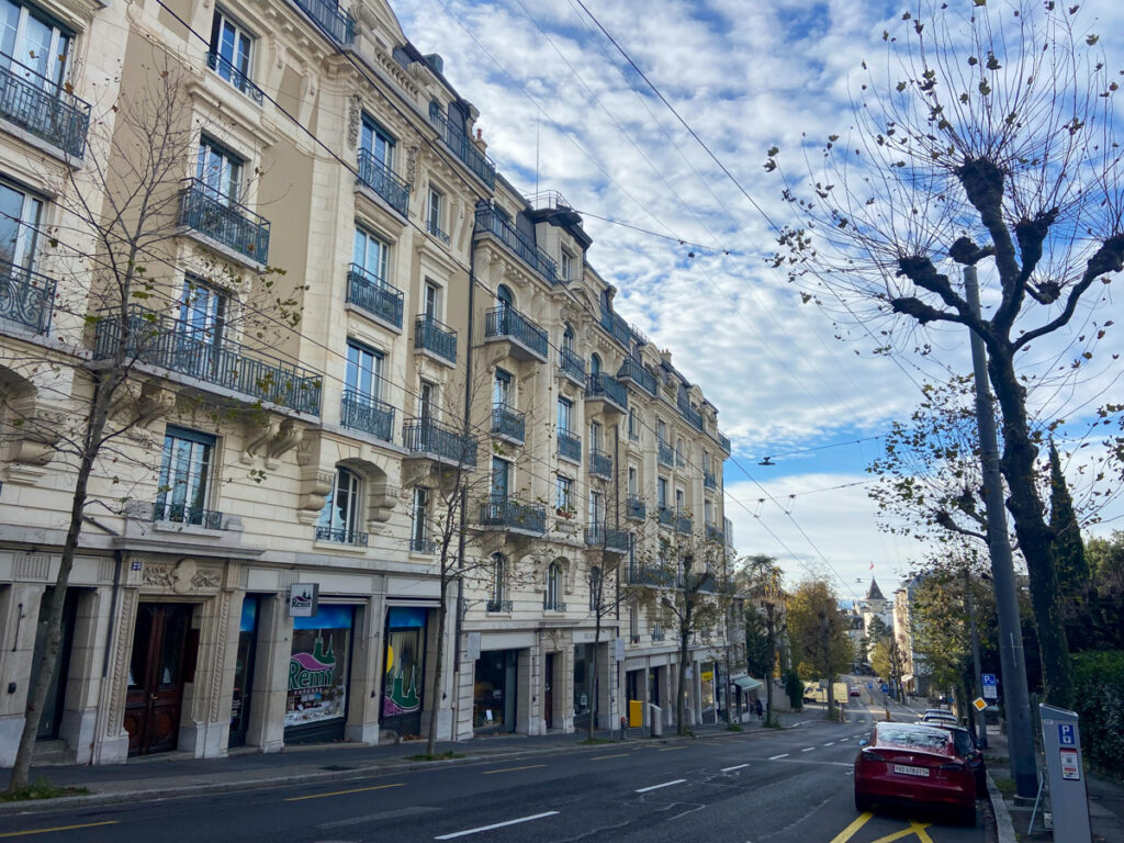 a street in Lausanne in the winter, with no snow, with old Hausman style buildings on one side and whomping willows on the other