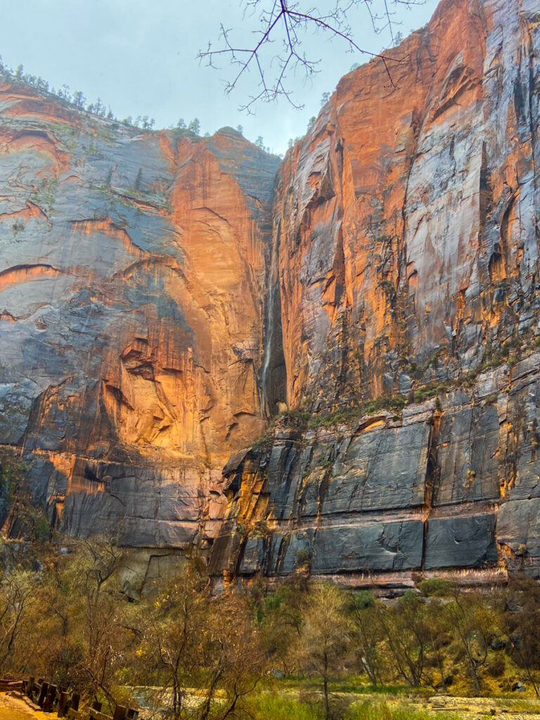 the orange and black slate Zion Canyon walls look slick with rain in Zion National Park. At the bottom of the imposing rock walls are small trees.