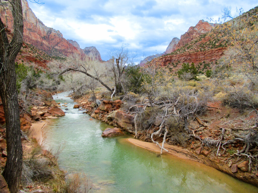 the striated rocks of Zion Canyon frame the Virgin River, a small greenish creek with many shrub trees around it. It is February so few of the trees have leaves