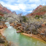the striated rocks of Zion Canyon frame the Virgin River, a small greenish creek with many shrub trees around it. It is February so few of the trees have leaves