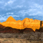 The imposing Zion Canyon walls glow orange in the sunset light.
