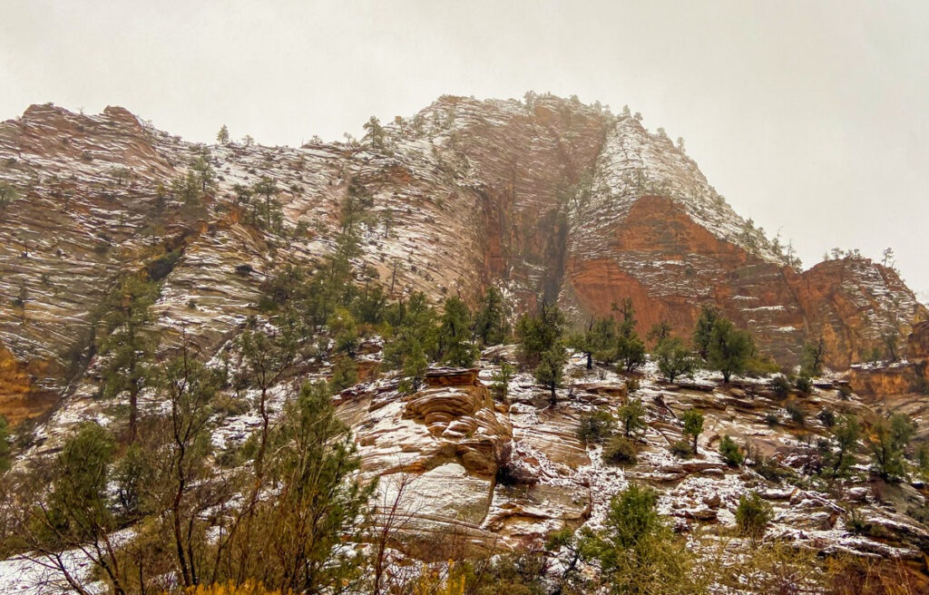 The canyon wall of Zion National Park, with several small pine trees. There is a dusty of snow on the red rock of the canyon walls.