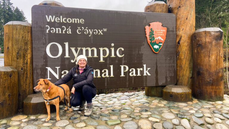 Pet friendly hotels near olympic national park