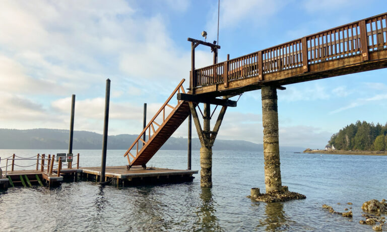 Pet Friendly Hotels Near Olympic National Park, Exploring the Best Options for You and Your Pet